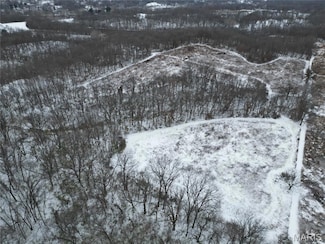 1965 Stringtown Rd, Shoal Creek Township, IL 62086