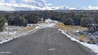 83 County Road 5083, Concho, AZ 85924
