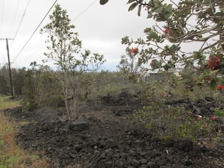 0 King Kamehameha Blvd Unit 722306, Ocean View, HI 96737