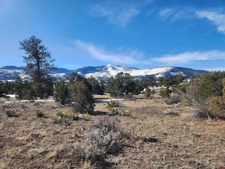 88 Silver Thread Cir, South Fork, CO 81154