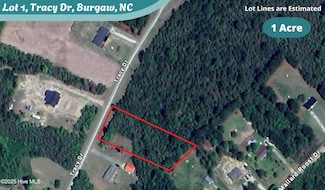 Lot 1 Tracy Dr, Burgaw, NC 28425