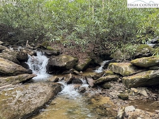 62+/- Acres Buckeye Ridge Rd, Beech Mountain, NC 28604