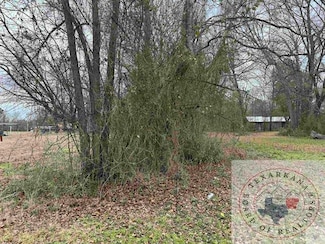 0 Tbd 1 Ann St, Texarkana, TX 75501