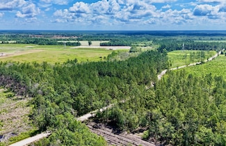 0 Bennett Mill Pond Rd, Odum, GA 31555