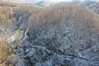 0 Coal Tipple Hollow, Lebanon, VA 24266