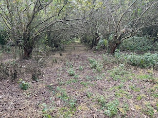 0 34th Ave Unit 718879, Keaau, HI 96749