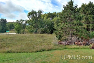 TBD Sundance Dr Unit 3, Norway, MI 49870