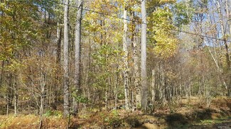 6874 Stone Rd, Great Valley, NY 14741