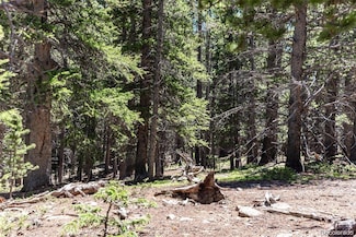 176 Gold Trail Cir, Fairplay, CO 80440