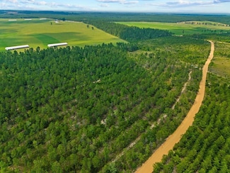 0 Liberty Rd, Mauk, GA 31058