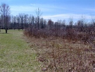999 Hallock Young Rd, Newton Falls, OH 44444