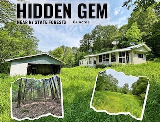 16 Indian Summer Rd, Deposit, NY 13754