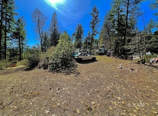 421 Red Bud Ct, Trinity Pines, CA 96041