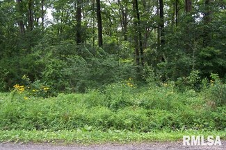 Xxx Chouteau Ave, Odin Township, IL 62870