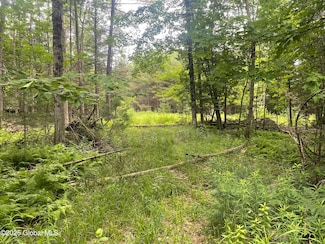 L34 Lane Rd, Chester, NY 12853