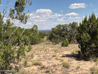 Tbd Hwy 191, St. Johns, AZ 85936