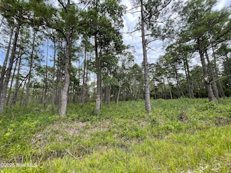 811 Brittany Rd, Boiling Spring Lakes, NC 28461