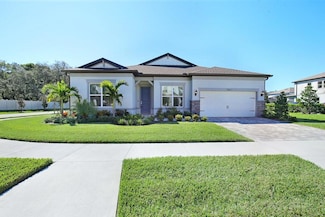 13817 Sharp Hawk Dr, Riverview, FL 33569