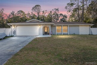 8898 N Salina Dr, Citrus Springs, FL 34434