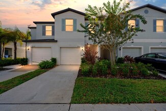 4447 Globe Thistle Dr, Tampa, FL 33619