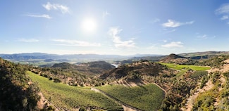 3231 Soda Canyon Rd, Napa, CA 94558