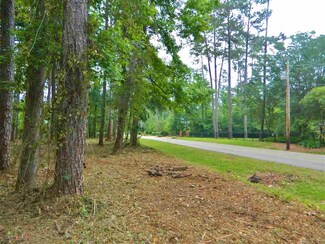 0 Live Oak Plantation Rd Unit 269641, Tallahassee, FL 32312