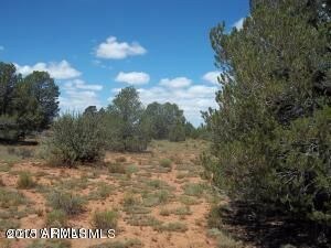 4378 Lasso Loop Unit 432, Williams, AZ 86046