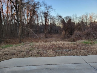 5503 Burlington Rd, Mc Leansville, NC 27301