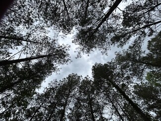 140 Foxtrot Ln, Jasper, TN 37347