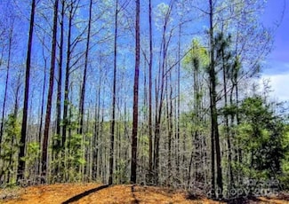 153 Westridge Dr, Bostic, NC 28018