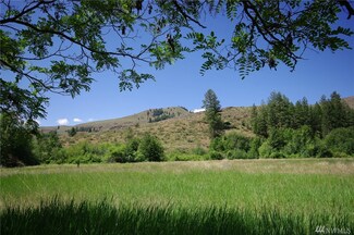 30 Barron Ave, Winthrop, WA 98862