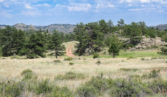 0 Tbd County Rd 82 E, Livermore, CO 80536