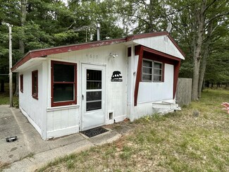 4617 N Pine Log Dr, Irons, MI 49644