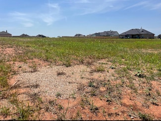 133 Sparrow Hills Ln, Tuscola, TX 79562