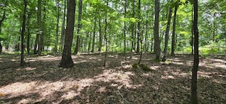 300 Canaan Ln, Rising Fawn, GA 30738