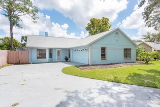 18305 Big Pond Way, Tampa, FL 33647