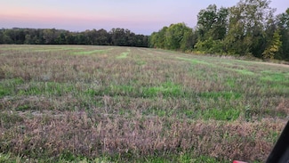 Lots 9 - 10 11 81 Acres Mohns Rd, Juda, WI 53550