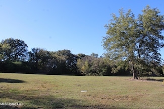 81 Bull Horn Rd, Como, MS 38619