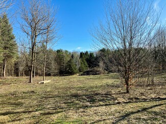 V/L W Gh Ave, Oshtemo Township, MI 49009