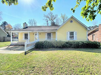 522 Old Mill Rd, Castle Hayne, NC 28429