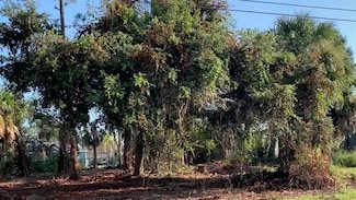 22394 Peachland Blvd, Port Charlotte, FL 33954