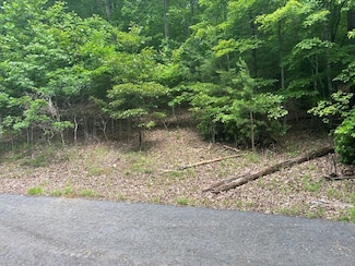 Lot 64 Cirrus Dr, Murphy, NC 28906