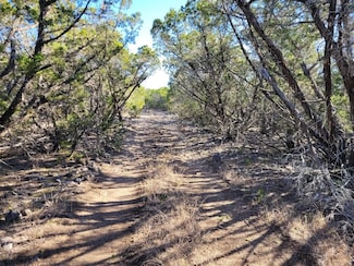 0 Bluff Creek Rd, Leakey, TX 78873