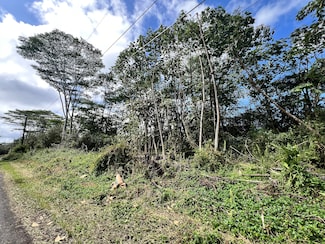 0 Mauna Kea Rd Unit 718318, Pahoa, HI 96778