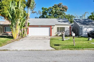 4501 Tidal Pond Rd, New Port Richey, FL 34652