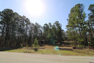 TBD County Road 285, Tyler, TX 75707