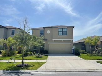 4329 Globe Thistle Dr, Tampa, FL 33619