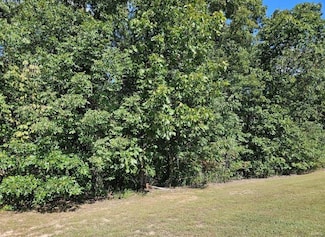 0 Lot 9 Tarrant's Estates Unit MAR25007757, Bowling Green, MO 63334