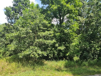 13227 Beckwith Dr NE, Lowell, MI 49331