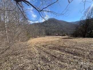 7374 Meadow Fork Rd, Hot Springs, NC 28743